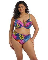 Elomi - Porto Rafti Plunge Bikini Top - Lyst