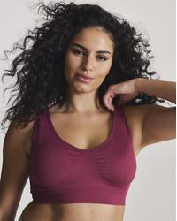 Pretty Secrets - V Neck Seamfree Comfort Bra - Lyst