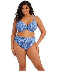 Elomi - Fiji Falls Bikini Brief - Lyst
