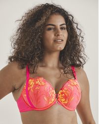 Ann Summers - Tropical Oasis Padded Plunge - Lyst
