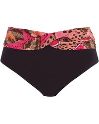 Elomi - Cabana Nights Bikini Brief - Lyst