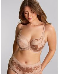Panache - Clara Full Cup Wired Bra - Lyst