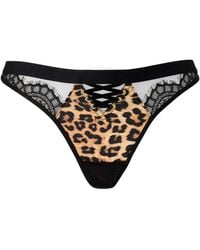 Ann Summers - Wild Obsession Thong - Lyst