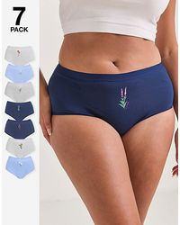 Pretty Secrets - 7 Pack Full Fit Knickers - Lyst