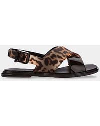 Melissa - Melissa Cleo Jelly Leopard Sandals - Lyst