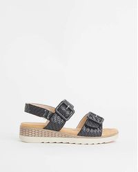 Cushion Walk - T&C Buckle Sandal Eee Fit - Lyst