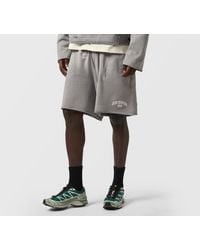 Alte Systems - Analog Shorts - Lyst