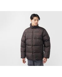 Carhartt - Springfield Jacket - Lyst