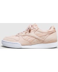 reebok phase 1 84 californian summer