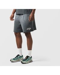 Alte Systems - Analog Shorts - Lyst