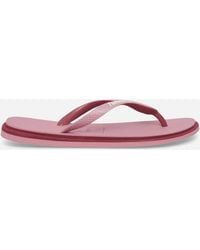 Havaianas - Brasil Twist Flip Flops Chiffon Rose - Lyst