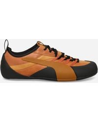PUMA - Klim Og Sneakers Brandy Amber - Lyst