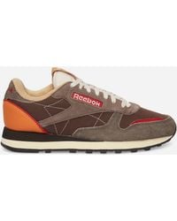 Reebok - Classic Leather Premium Sneakers Dark Chocolate - Lyst