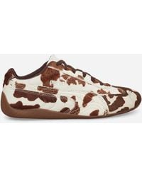 PUMA - Women S Speedcat Cow Print Sneakers Chocolate / Gum - Lyst