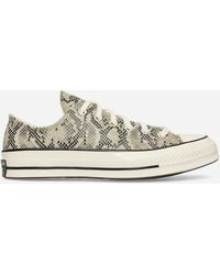Converse - Chuck 70 Faux Snakeskin Sneakers Pale Surplus / Egret / Black - Lyst