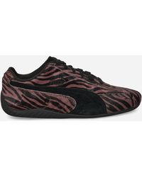 PUMA - Women S Speedcat Tiger-print Sneakers Rich Cocoa / Black - Lyst