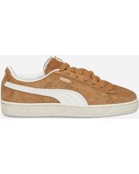 PUMA - Suede Charles F. Stead V Sneakers Honey Butter - Lyst