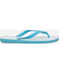 Havaianas - S Tradi 2.0 Flip Flops - Lyst