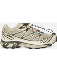 Salomon - Xt-6 Sneakers Eucalyptus / Grape Leaf / Almond - Lyst