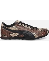 PUMA - Sprint Snake Sneakers Russet - Lyst