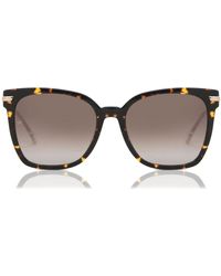 Tommy Hilfiger - Th 1880/S 086/Ha - Lyst