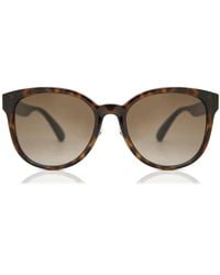 Gucci - Round Acetate Sunglasses - Lyst