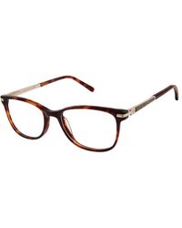 Ann Taylor - Atp011 Co2 - Lyst
