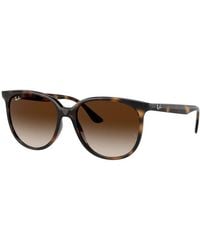 Ray-Ban - Rb4378 Sunglasses Havana Frame Brown Lenses 54-16 - Lyst