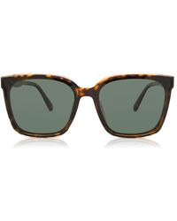Montana Eyewear - Mp67 Polarized Mp67B - Lyst