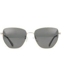 Polaroid - Pld 4204/G/S/X Asian Fit Polarized 2F7/M9 - Lyst