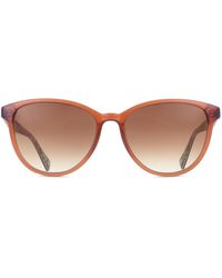 Ted Baker - Tb1763 Flori 111 - Lyst
