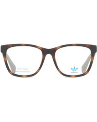 adidas Originals - Or5016 052 - Lyst