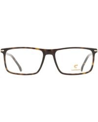 Carrera - 347 Lvl - Lyst