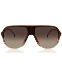 Carrera - Safari65/N 7W5/Ha - Lyst
