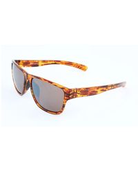 reebok classic sunglasses brown