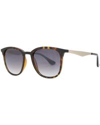 Sinner - Cowell Sisu-841-40-28 - Lyst