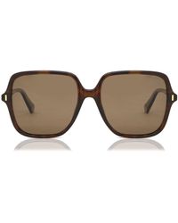 Polaroid - Pld 6219/S Polarized 086/Sp - Lyst