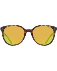 Smith - Cheetah 086/Ui - Lyst