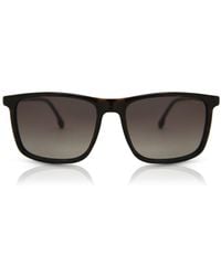 Carrera - 231/S 086/Ha - Lyst