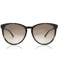 Tommy Hilfiger - Th 1724/S 086/Ha - Lyst