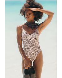 acacia banyans one piece