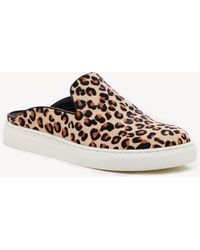 sole society belynda mule