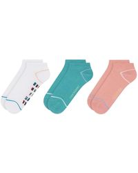 Ted Baker - Chaussettes Gt30505 - Lyst
