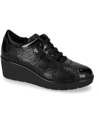 Valleverde - Baskets Basses 36442 - Lyst