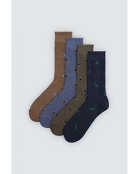 Ysabel Mora - Collants & Bas Lot De 4 Chaussettes Imprimé Animaux Et Motos - Lyst
