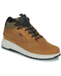 Geox Hoge Sneakers U Aerantis 4x4 B Abx - Bruin