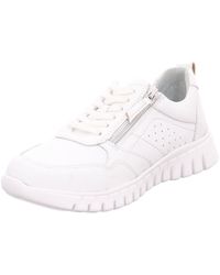 Longo - Baskets Basses - Lyst
