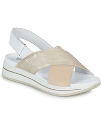 Igi&co - Sandalen Donna Sindy - Lyst