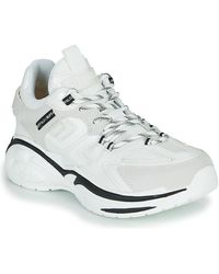 buffalo blanche basse