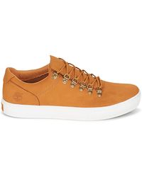 Baskets basses Timberland pour homme - Jusqu'à -50 % sur Lyst.fr Baskets basses Timberland pour homme - Jusqu'à -50 % sur Lyst.fr